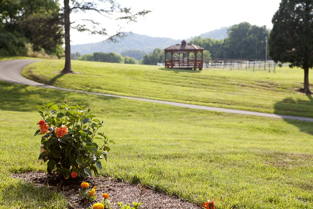 gazebo and view