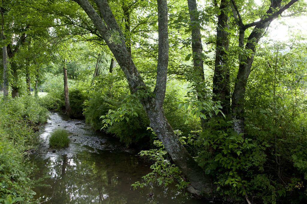 nature trails creek