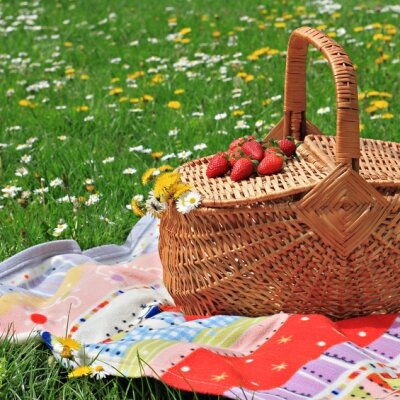 Brookhaven Retreat Hosted an Outdoors Picnic in Recognition of Labor Day